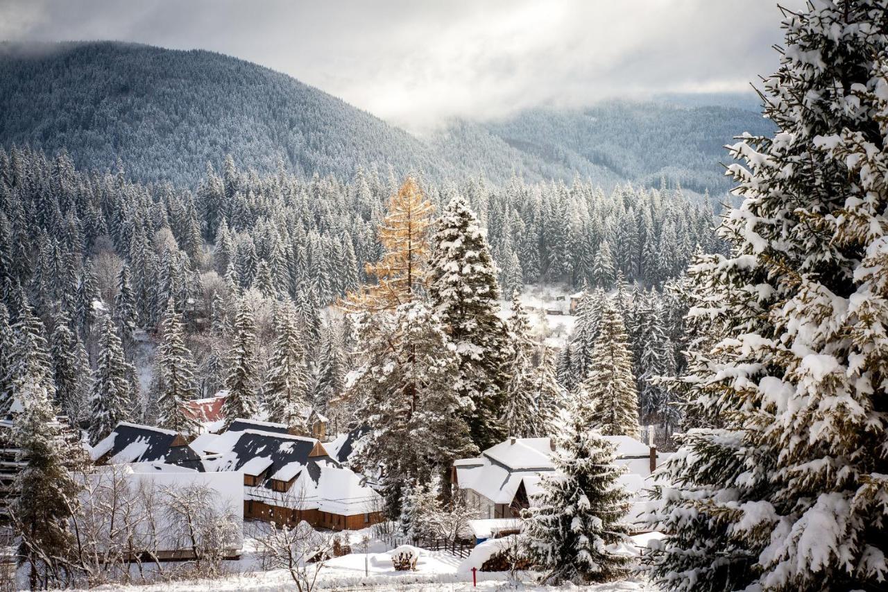 Villa Montana بورسيك المظهر الخارجي الصورة